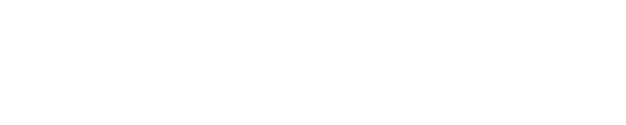 AYOO Logo White